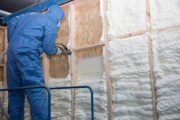 Best Thermal Imaging for Insulation Gaps  in Savannah, TN